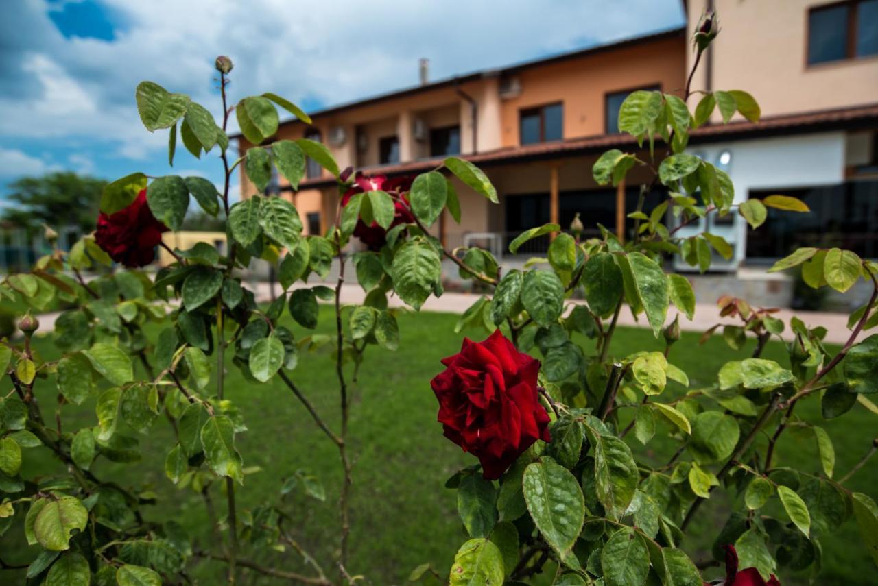 SPA Kompleks Raiski Kat Dimitrovgrad  Luaran gambar